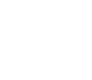 愛(ài)密特